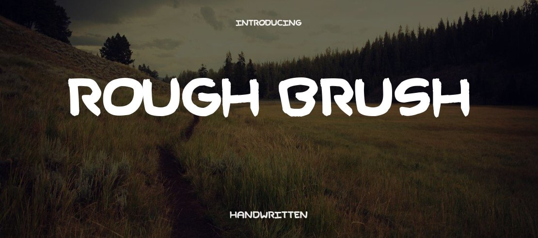 Rough Brush Font Family