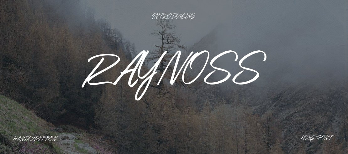 Raynoss Font Family