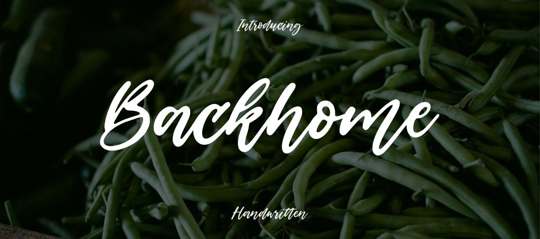 Backhome Font