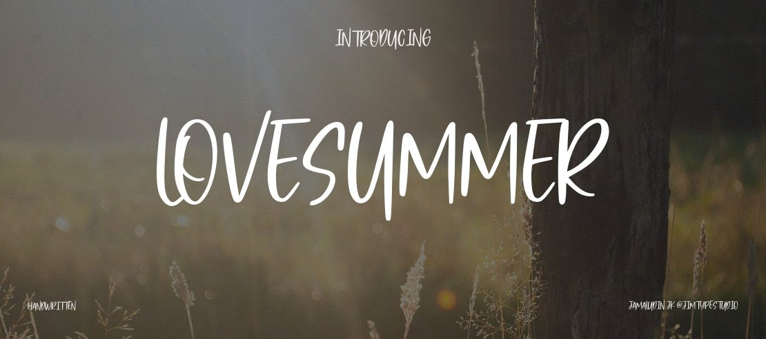 LoveSummer Font