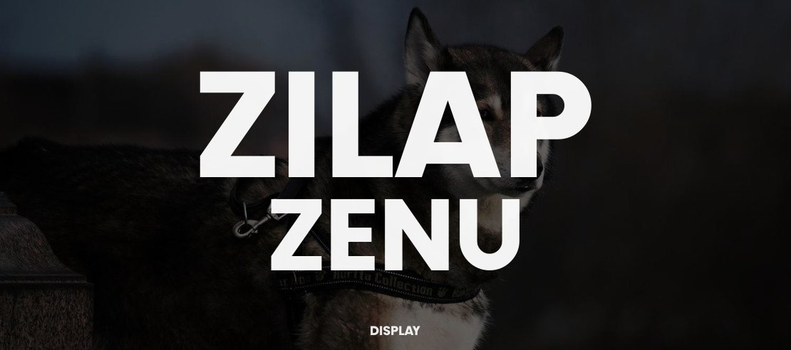 Zilap Zenu Font Family