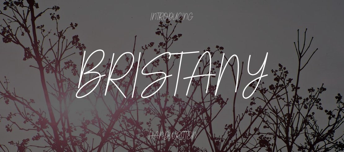 Bristany Font Family
