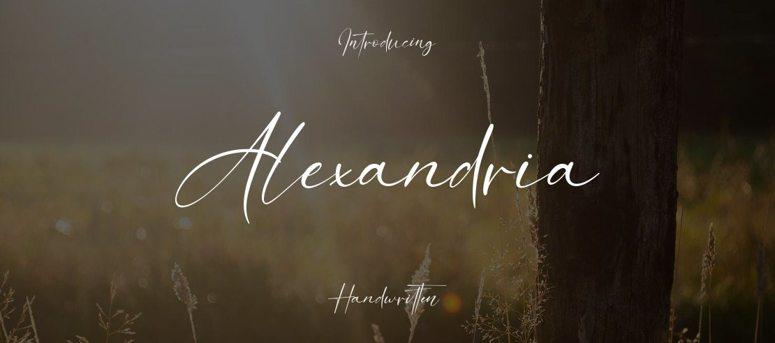 Alexandria Font Family