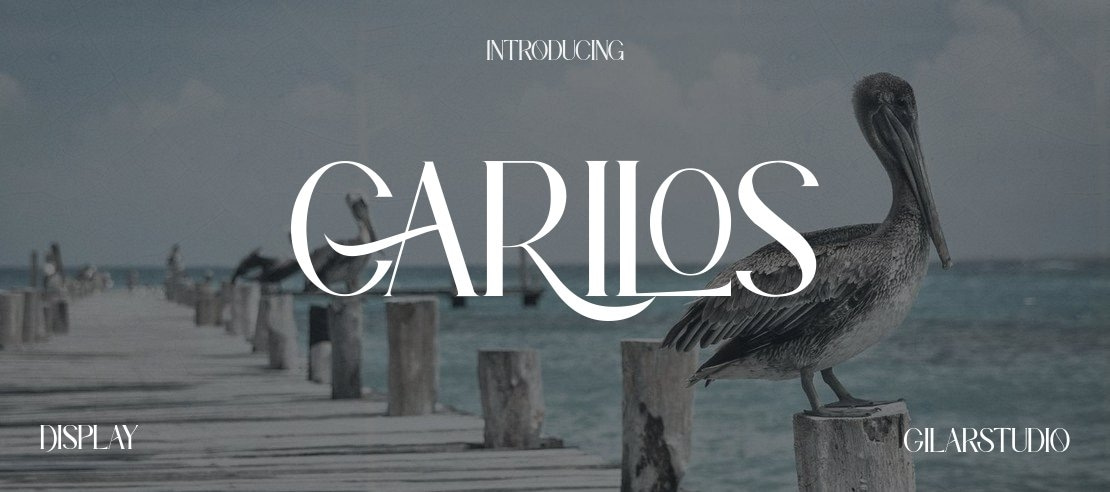 Carilos Font