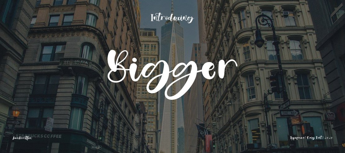 Bigger Font Family