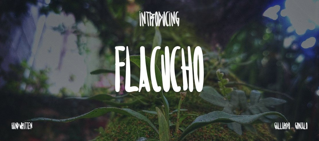 Flacucho Font