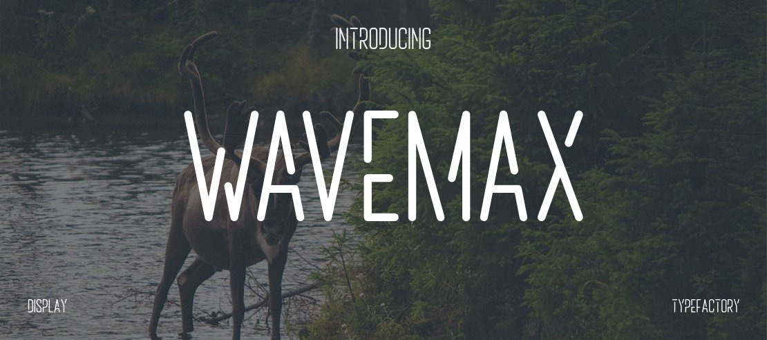 Wavemax Font