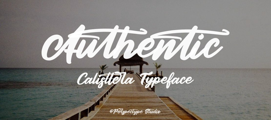 Authentic Calisttera Font