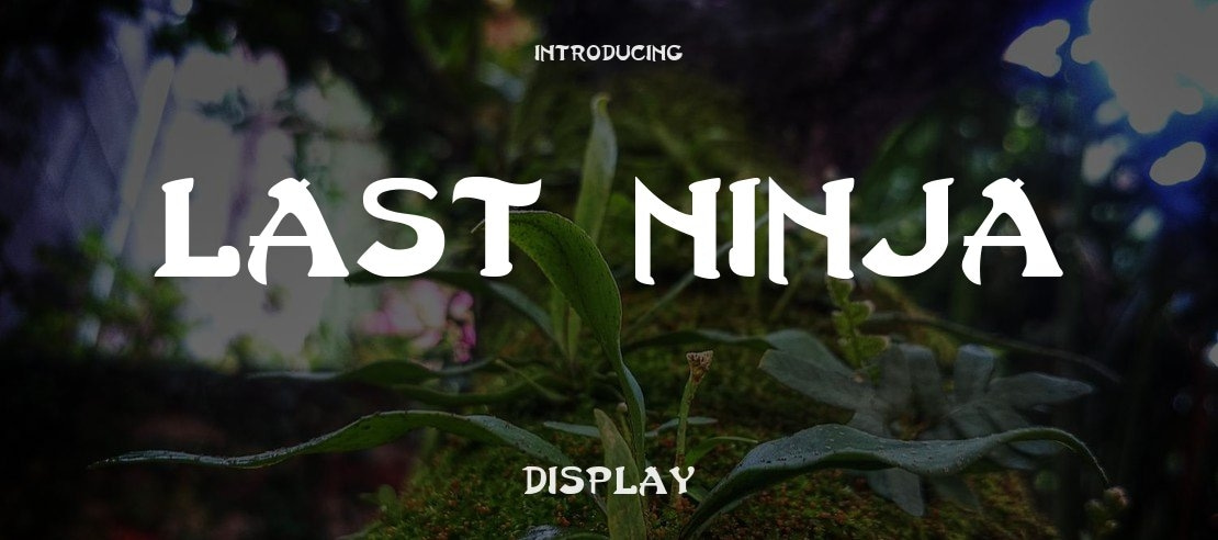 Last Ninja Font