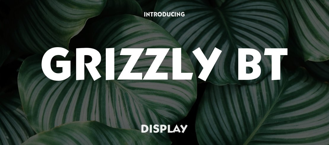 Grizzly BT Font