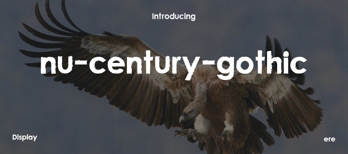 nu-century-gothic Font