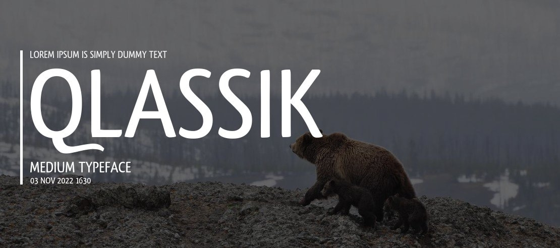 Qlassik Medium Font