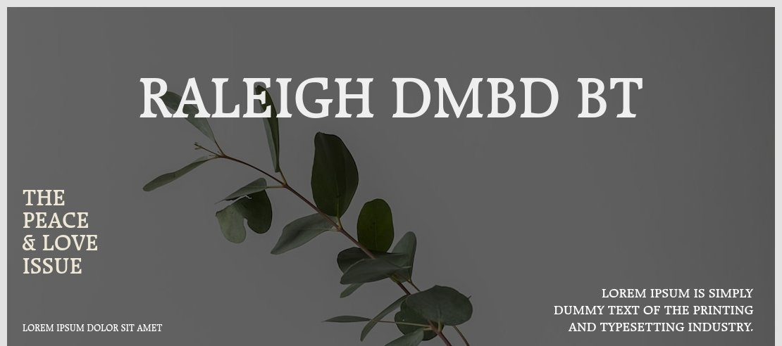 Raleigh DmBd BT Font