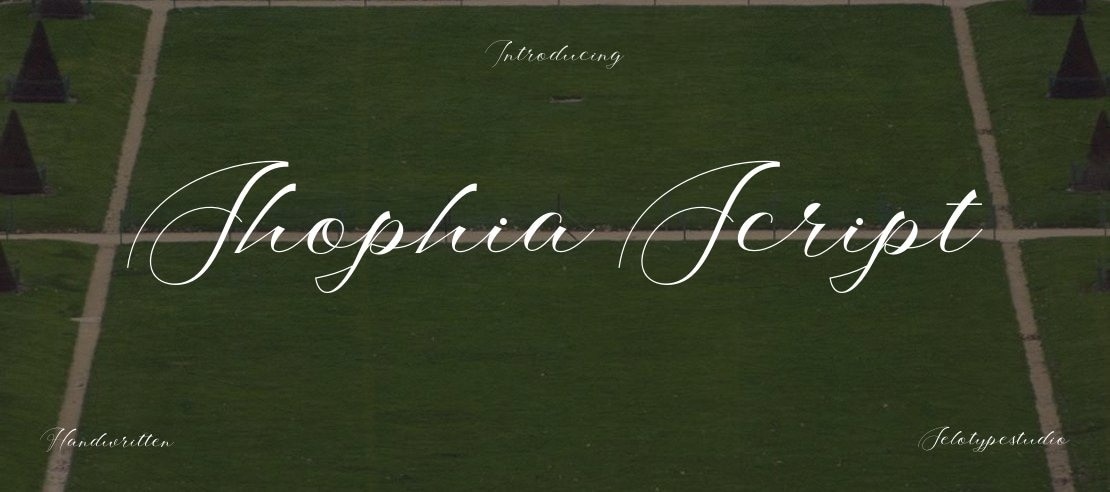 Shophia Script Font