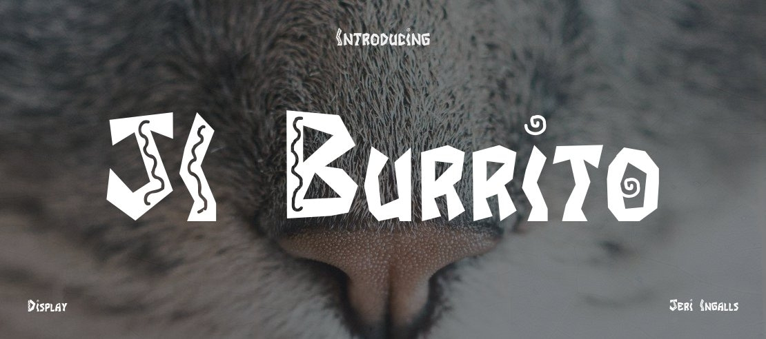 JI Burrito Font