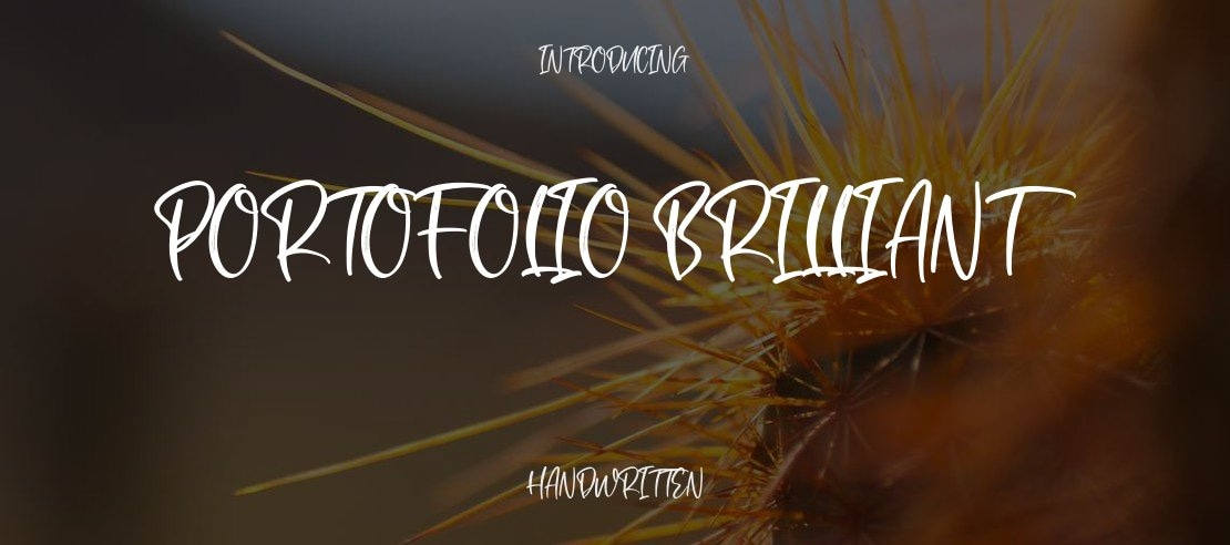 Portofolio Brilliant Font