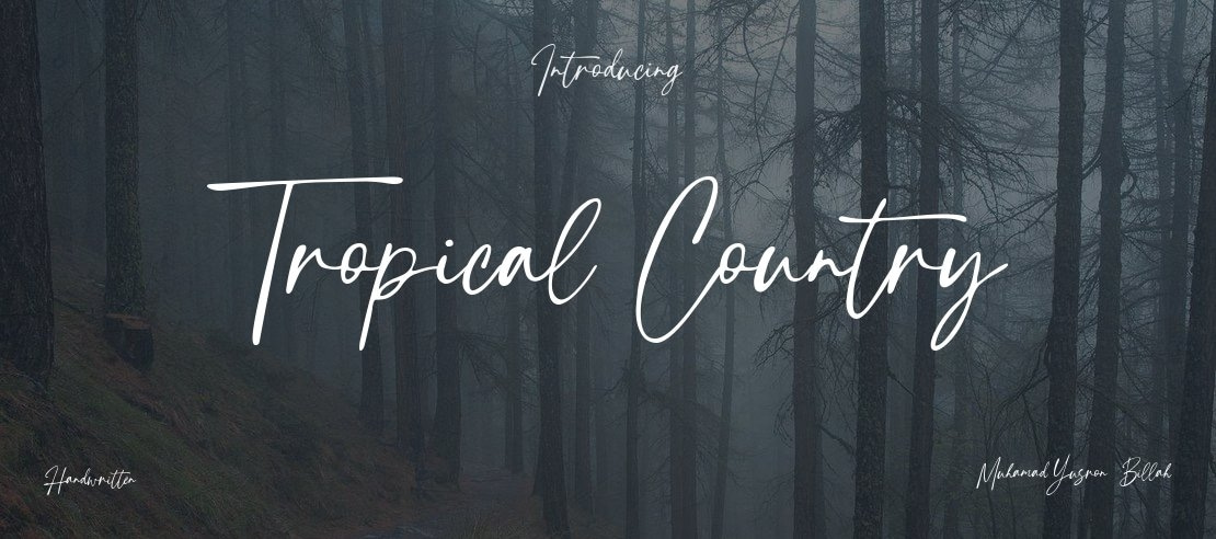 Tropical Country Font