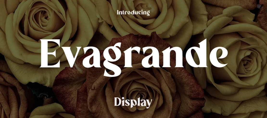 Evagrande Font