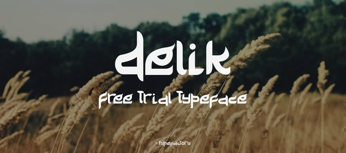 Delik Free Trial Font