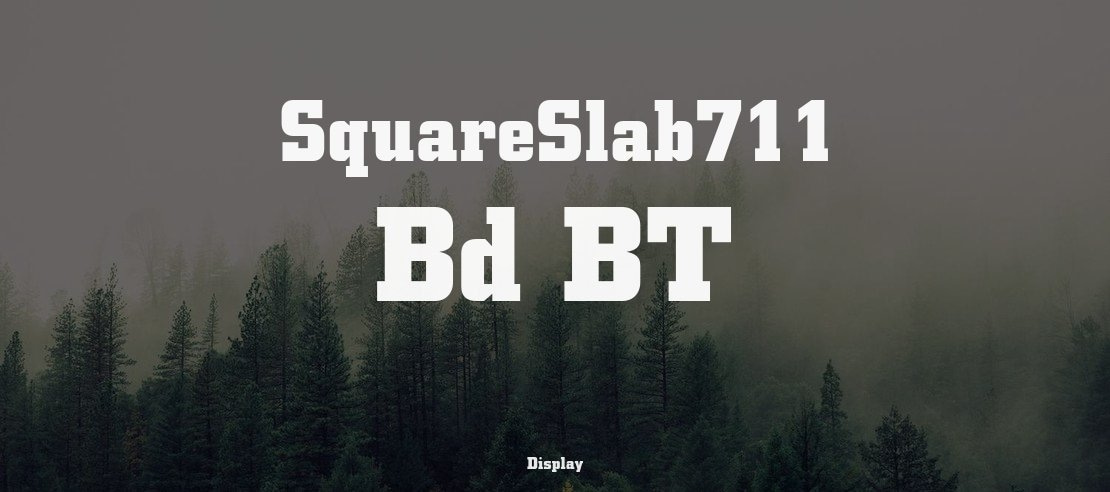 SquareSlab711 Bd BT Font