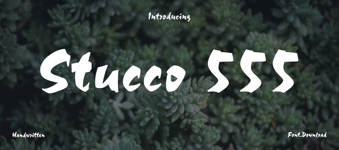 Stucco 555 Font