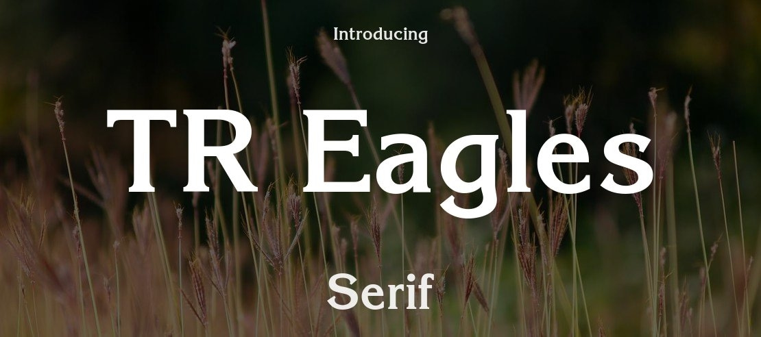 TR Eagles Font