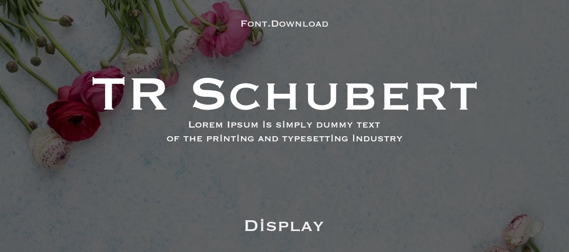 TR Schubert Font