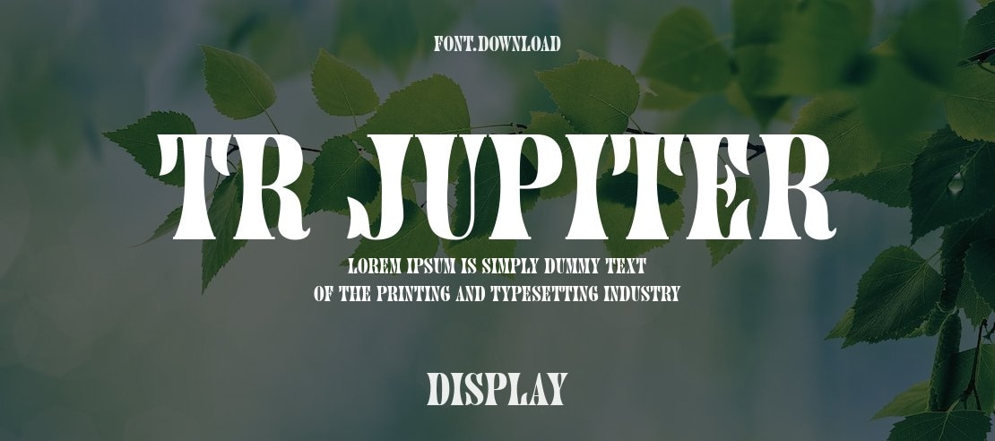 TR Jupiter Font