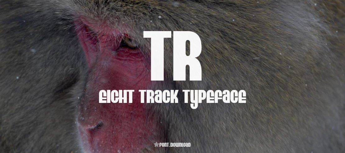 TR Eight Track Font