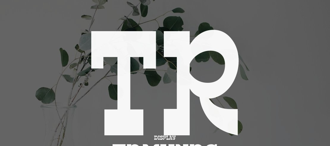 TR Edmunds Font