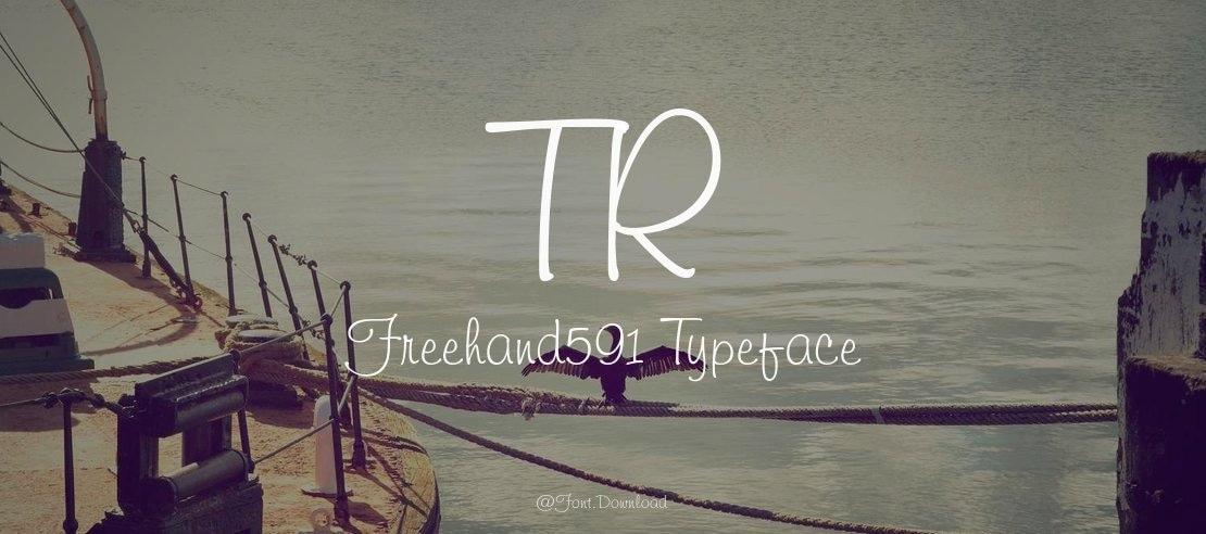 TR Freehand591 Font