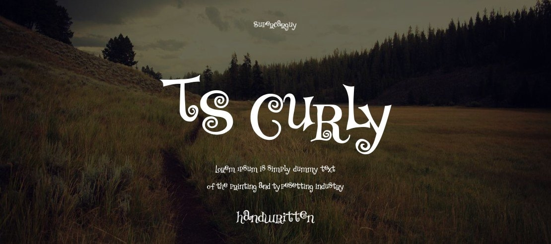 TS Curly Font