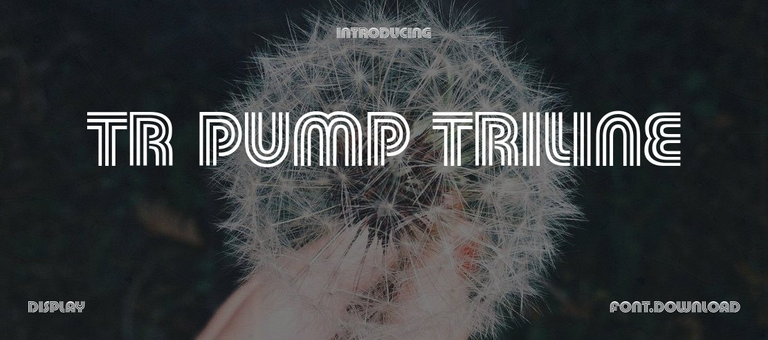 TR Pump Triline Font