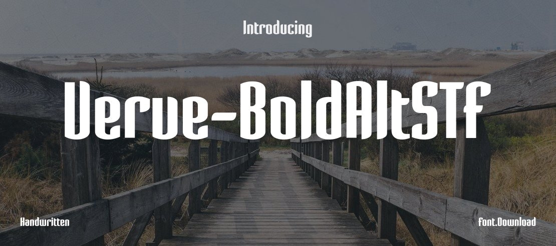 Verve-BoldAltSTF Font