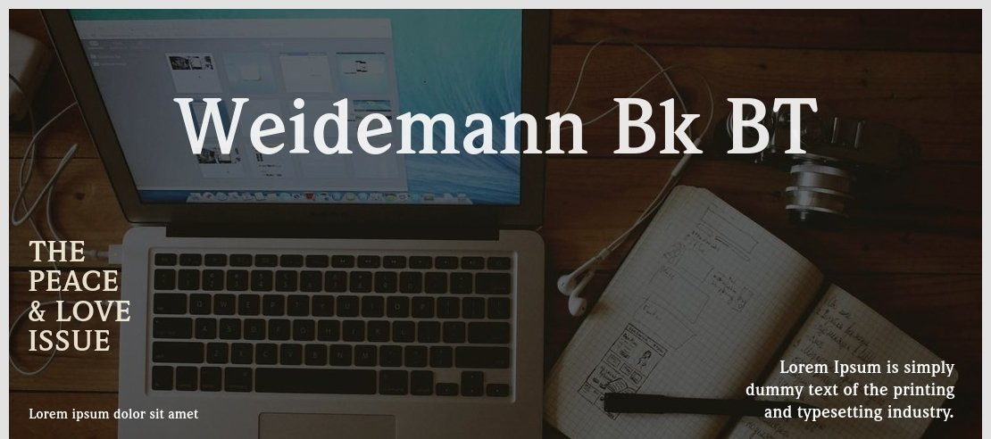Weidemann Bk BT Font