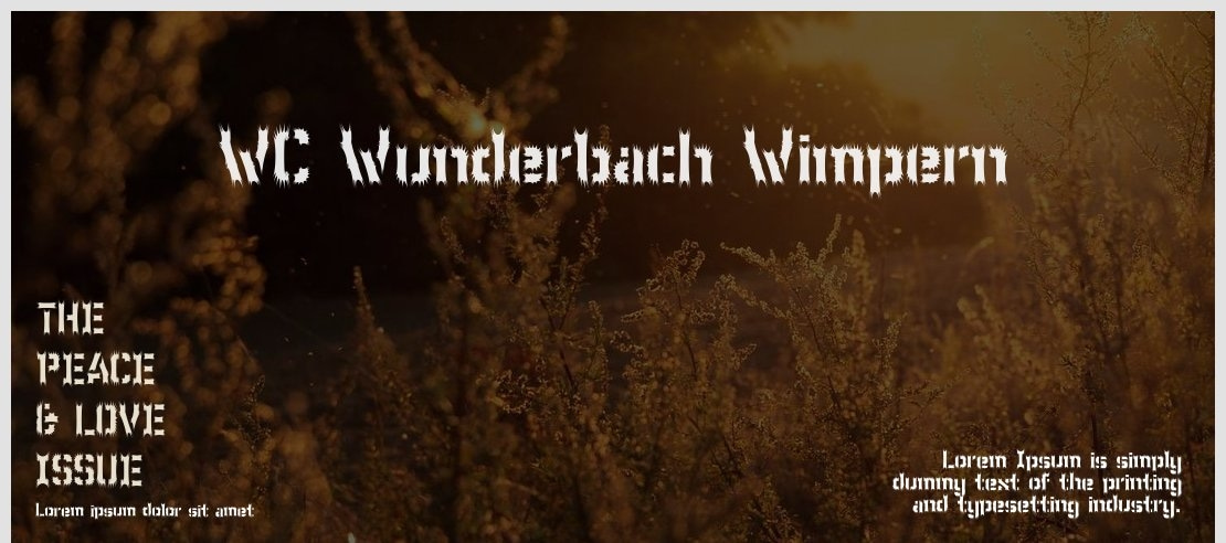 WC Wunderbach Wimpern Font