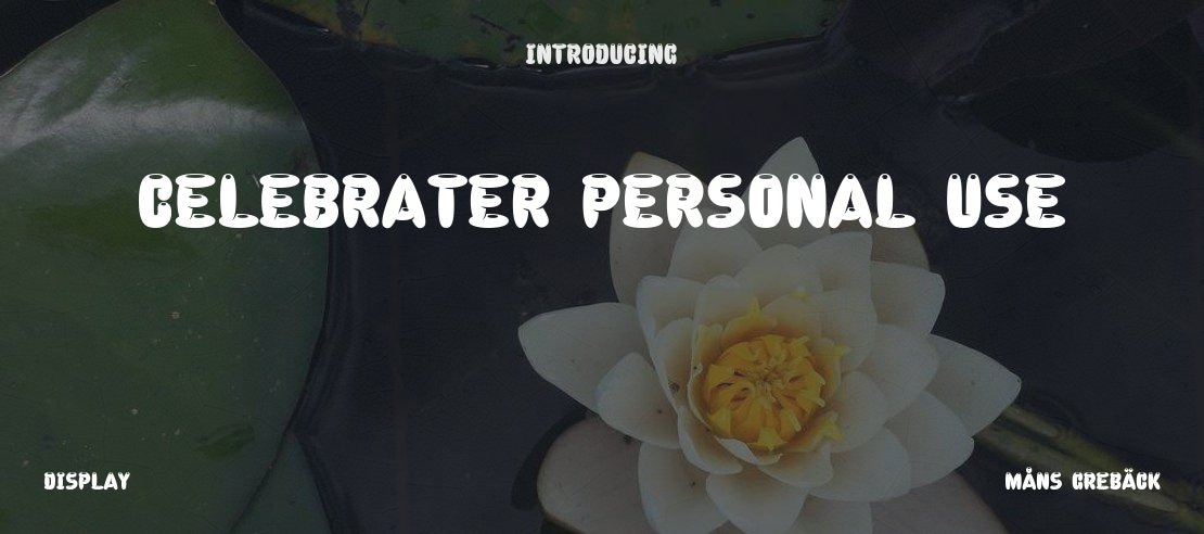 Celebrater PERSONAL USE Font