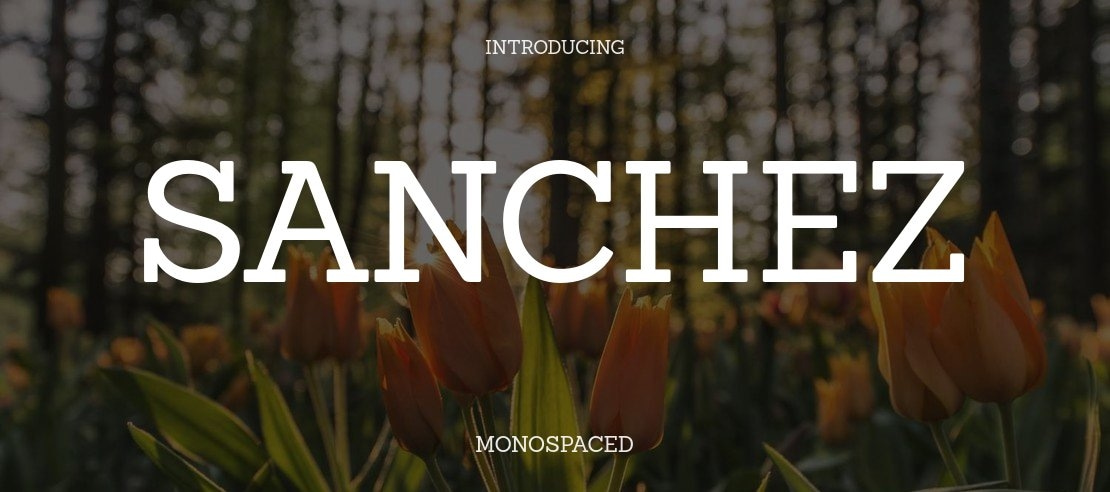 Sanchez Font Family