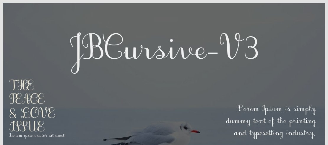 JBCursive-V3 Font Family