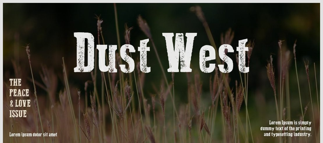 Dust West Font
