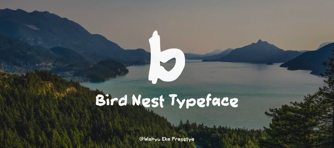 b Bird Nest Font