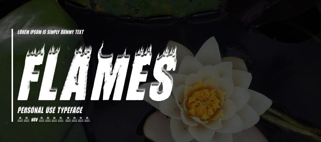 FLAMES  PERSONAL USE Font