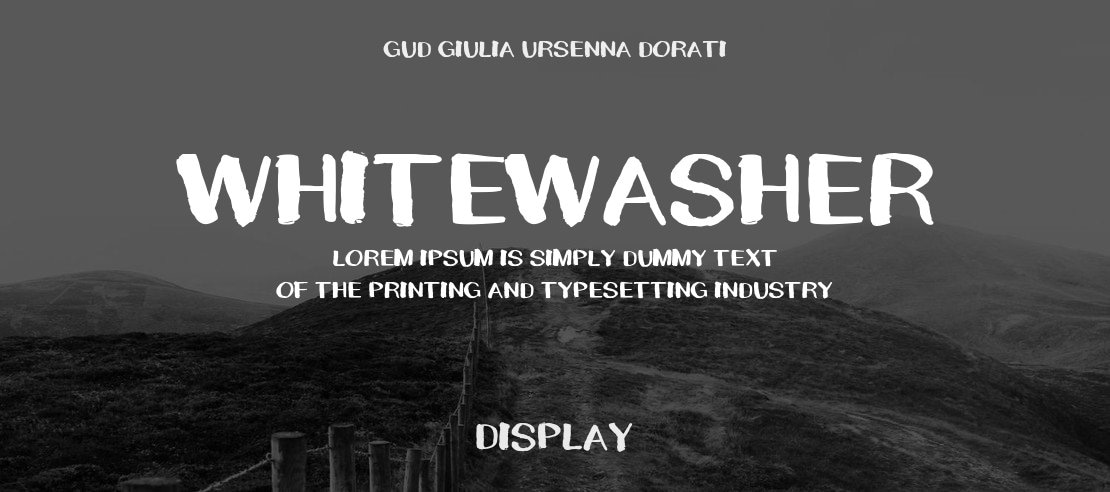WHITEWASHER Font