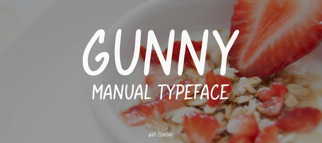 Gunny Manual Font Family