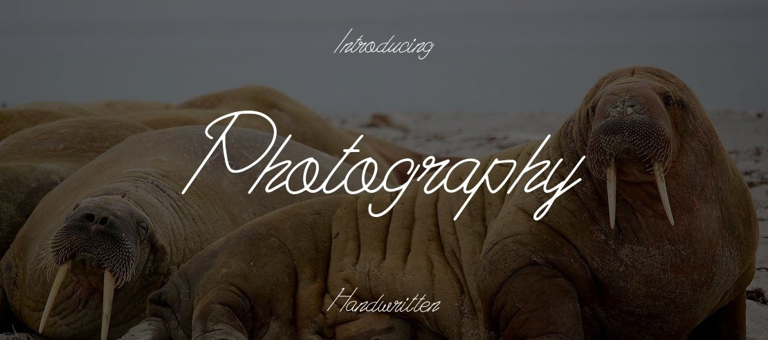 Photography Font