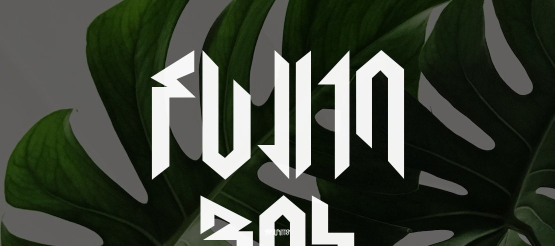 Fujita Ray Font