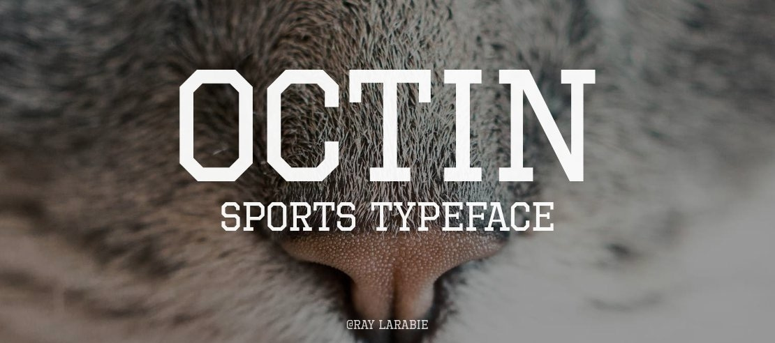 Octin Sports Font