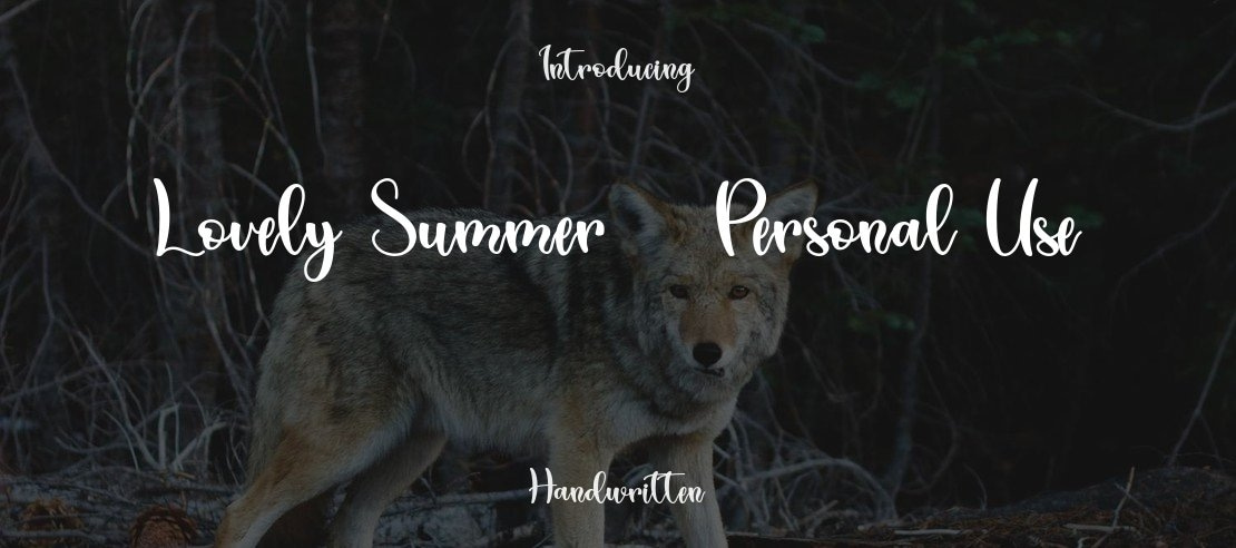 Lovely Summer - Personal Use Font