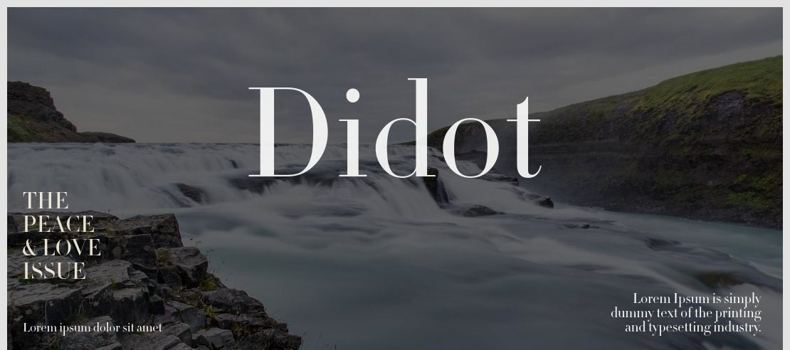 Didot Font Family