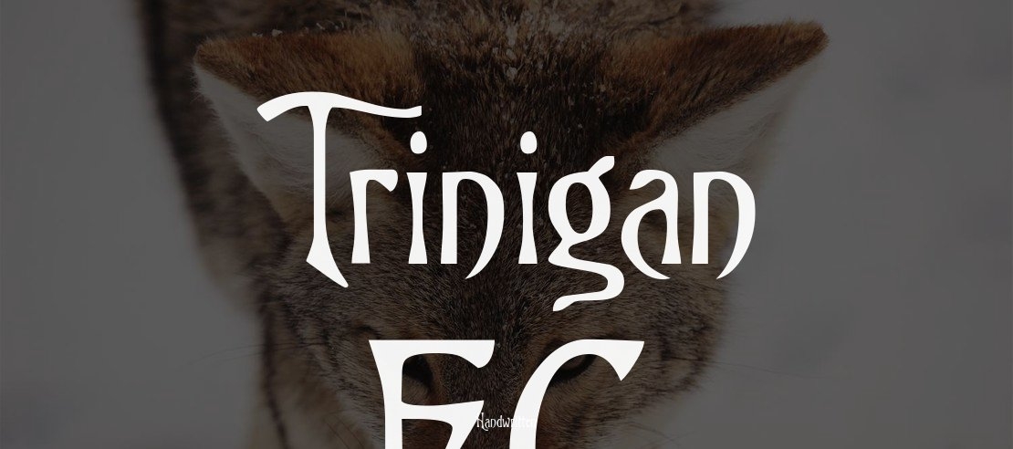 Trinigan FG Font